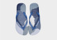 Havaianas Top Logomania Colors II Unisex Flip Flops